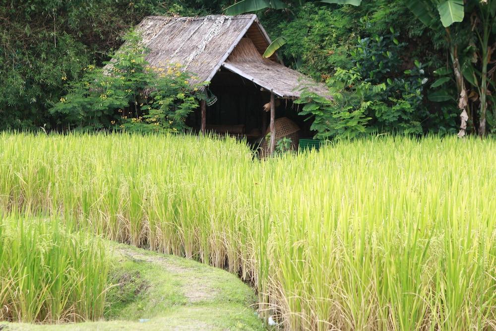Chompor Lanna Hotel Chiang Mai Exteriör bild