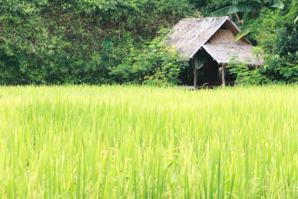 Chompor Lanna Hotel Chiang Mai Exteriör bild